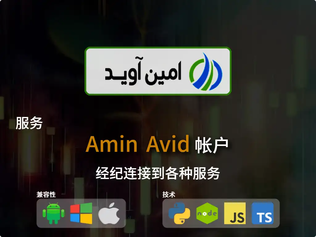 this is the main image of journal: 连接到Amin Avid 经纪商账户