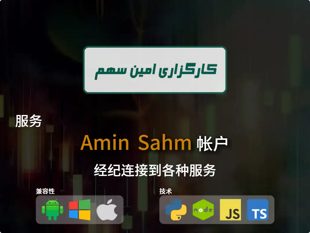this is the main image of journal: 连接到经纪账户Amin Sahm